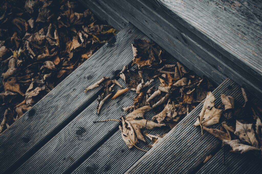 Rudens lapai ant terasos